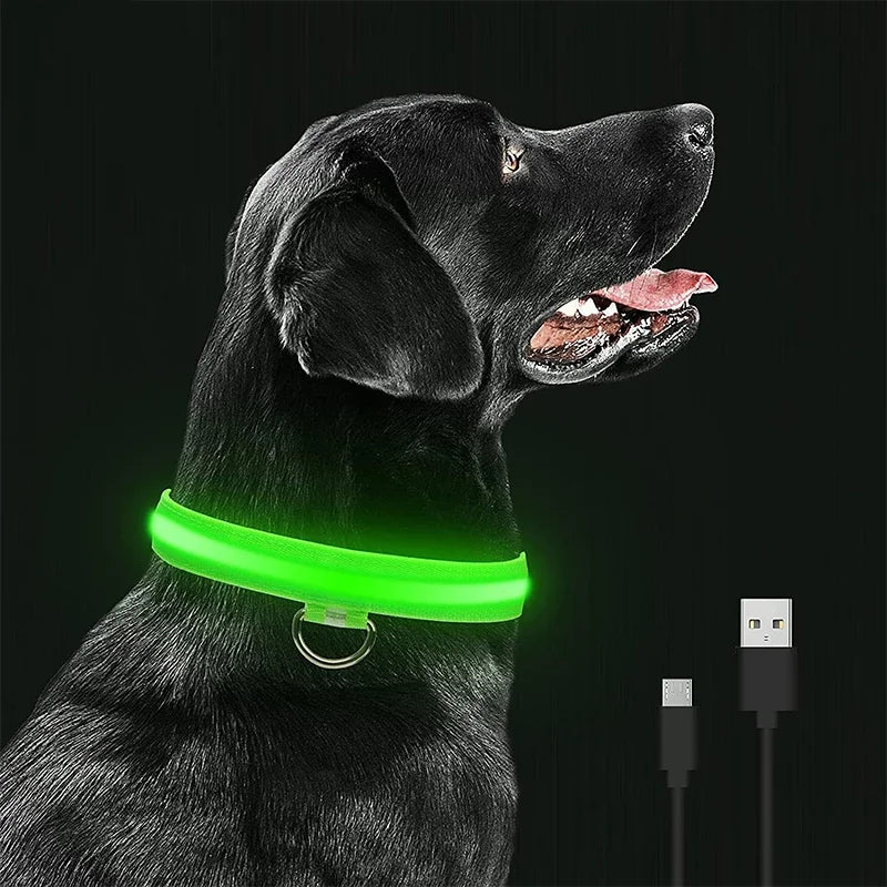Coleira Luminosa LED Recarregável: Segurança Noturna para Seu Pet