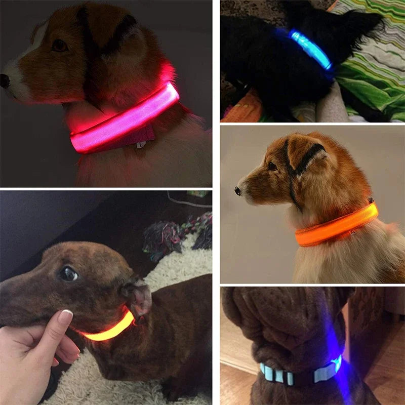 Coleira Luminosa LED Recarregável: Segurança Noturna para Seu Pet